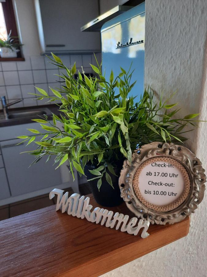 Schoene Einzimmer Wohnung Zwischen Bodensee Und Allgaeu Neukirch  ภายนอก รูปภาพ