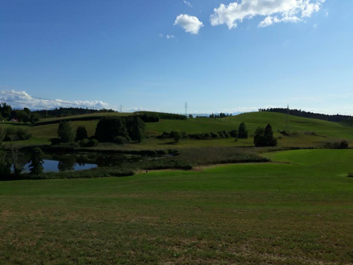 Schoene Einzimmer Wohnung Zwischen Bodensee Und Allgaeu Neukirch  ภายนอก รูปภาพ