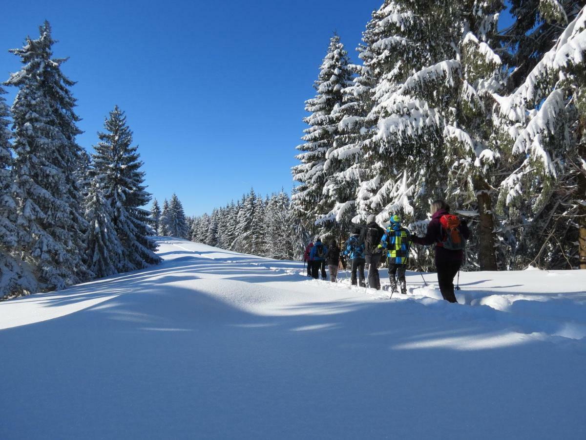 Schoene Einzimmer Wohnung Zwischen Bodensee Und Allgaeu Neukirch  ภายนอก รูปภาพ